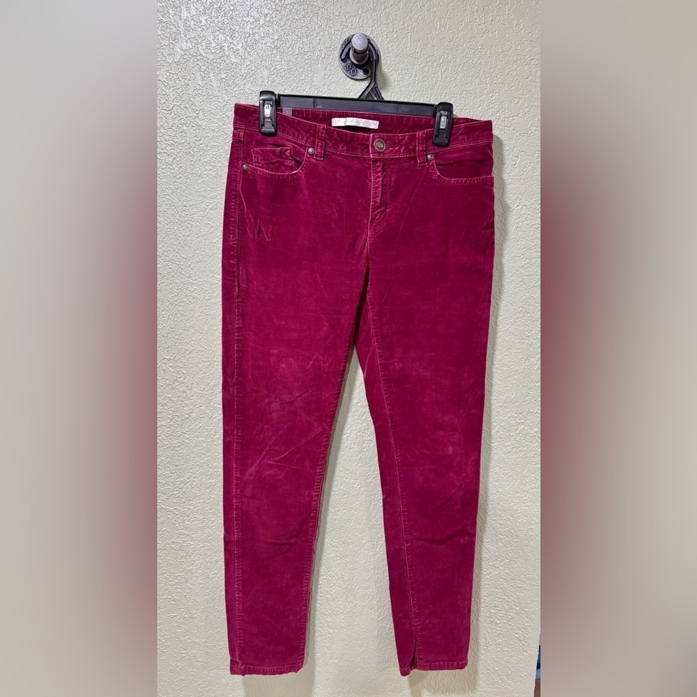 LC Lauren Conrad Fuchsia Corduroy Pants